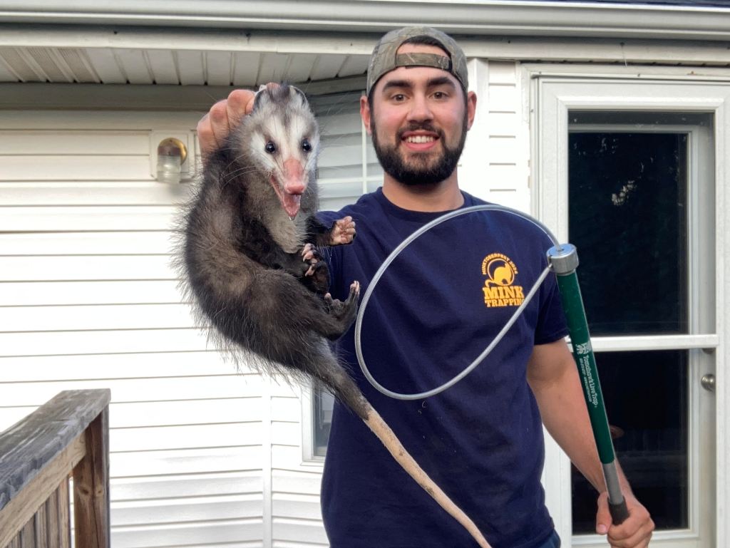 Eli Catching Possum