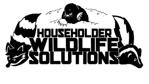 Householder Wildlife Solutions, LLC